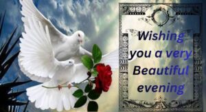 80-beautiful-good-evening-blessings-images-and-quotes