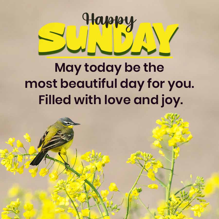 good-morning-sunday-blessings-quotes