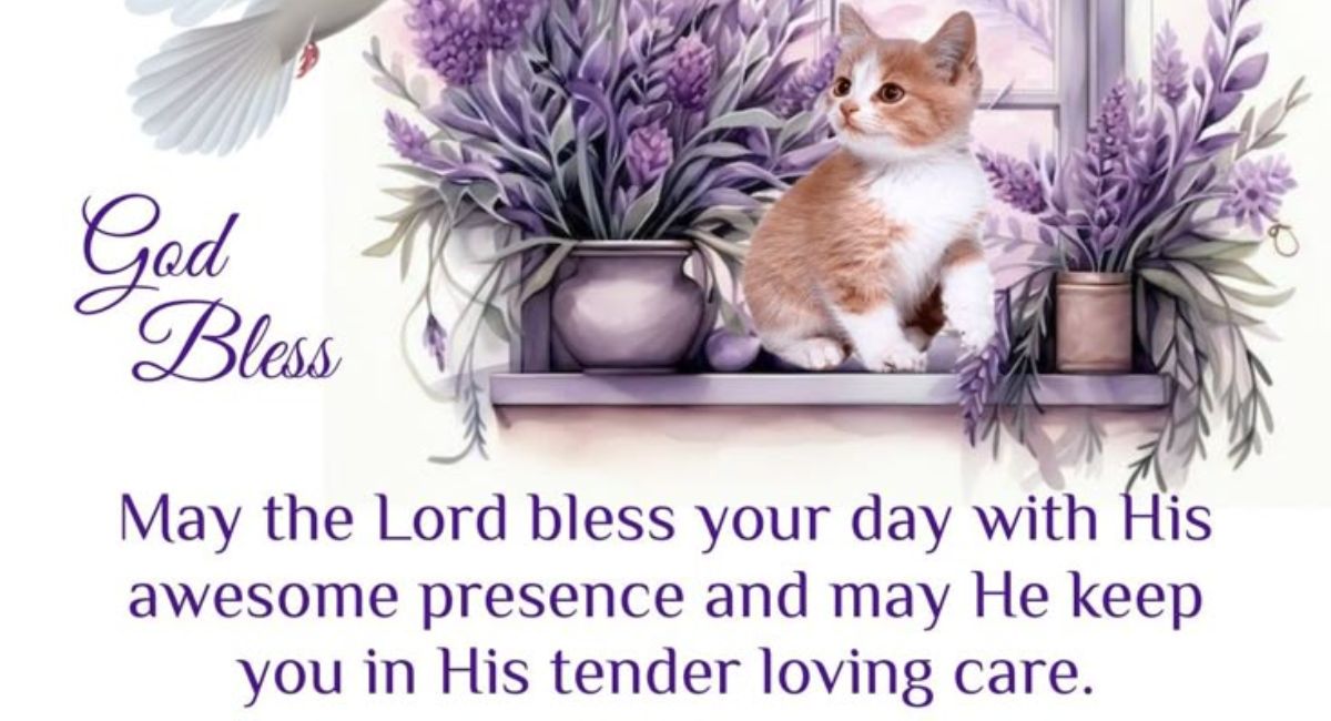  short-and-cute-Wednesday-blessings-for-quick-sharing