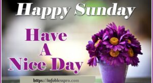 150-sunday-morning-blessings-quotes-wishes-and-prayers